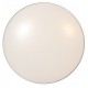 ARGUS 4050/14  LED přisazené svítidlo
