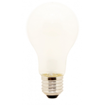 ARGUS LED žárovka E27 G45 5,5W