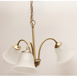 ARGUS 8005/L lampa stolní 