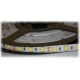 ARGUS SMD 5050 LED páska