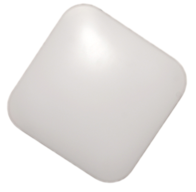 ARGUS 4060/20  LED přisazené svítidlo WW - teplá (3000 K)