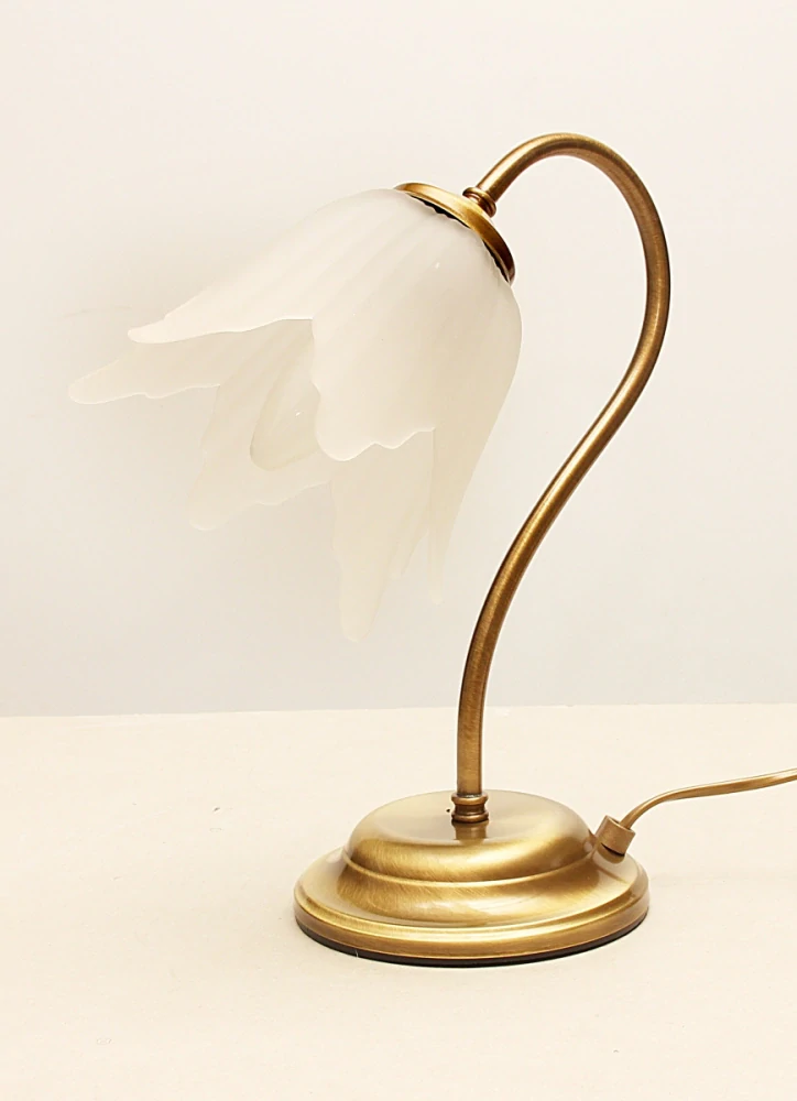 ARGUS 8005/L lampa stolní sklo O4