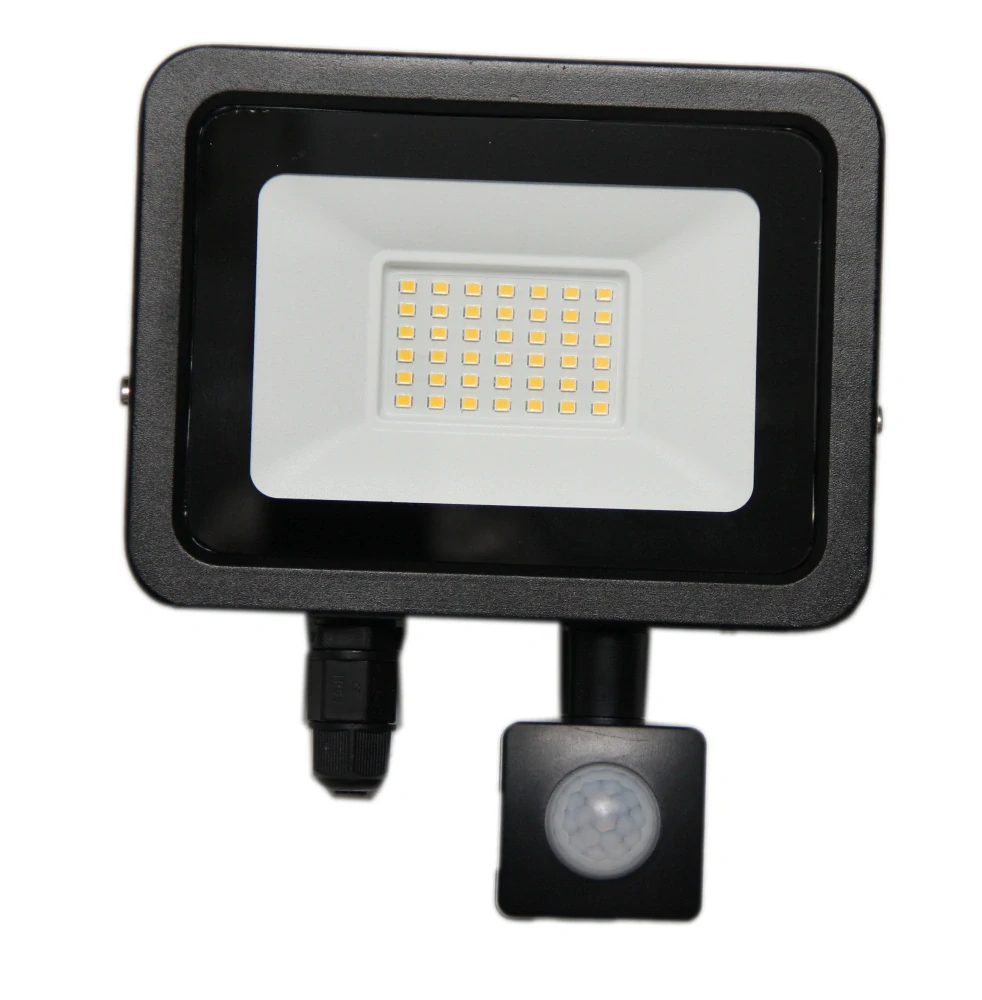 ARGUS LSFL30 LED reflektorové svítidlo 30W